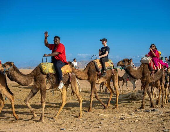 Camel Ride in Marrakech: A Timeless Desert Experience