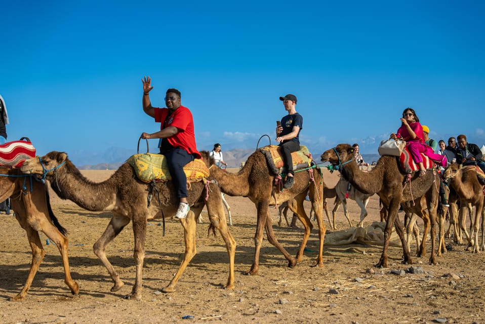 Camel Ride in Marrakech: A Timeless Desert Experience