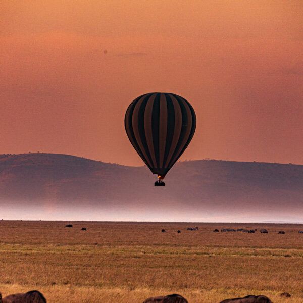 Hot Air Balloon Ride in Marrakech